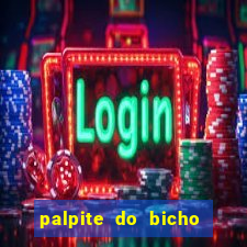 palpite do bicho deu no poste